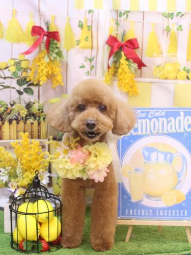 20240413レオくん